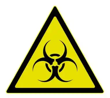 Mold Abatement Estimate